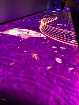 東京メガイルミに投稿された画像（2021/12/22）