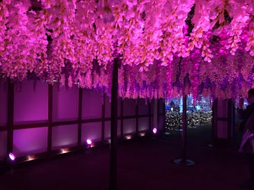 東京メガイルミに投稿された画像（2021/12/22）