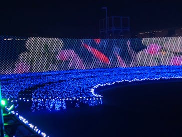 東京メガイルミに投稿された画像（2021/12/22）