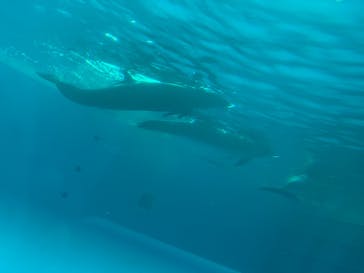 アクアワールド茨城県大洗水族館に投稿された画像（2021/12/22）