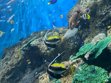 アクアワールド茨城県大洗水族館に投稿された画像（2021/12/22）