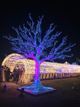 東京メガイルミに投稿された画像（2021/12/22）