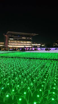 東京メガイルミに投稿された画像（2021/12/22）