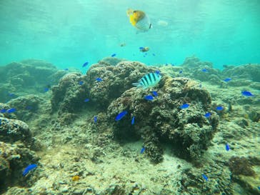 武藤潜水に投稿された画像（2021/12/22）