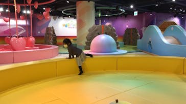 ハピピランド横浜アソビルに投稿された画像（2021/12/22）