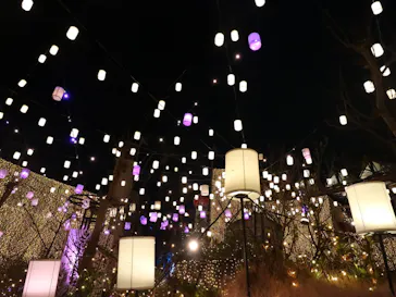 ひらかたパークに投稿された画像（2021/12/22）