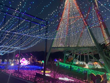 さがみ湖MORI MORIに投稿された画像（2021/12/22）