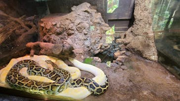 体感型動物園iZooに投稿された画像（2021/12/22）