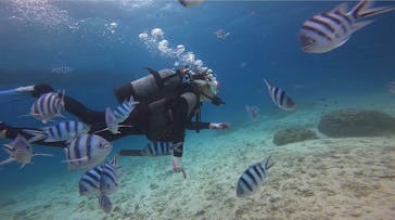 青の洞窟専門店　沖縄ダイビングショップ和に投稿された画像（2021/12/22）