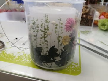 ずこうしつ〜sugamo〜に投稿された画像（2021/12/22）