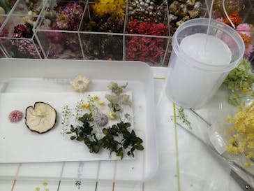 ずこうしつ〜sugamo〜に投稿された画像（2021/12/22）