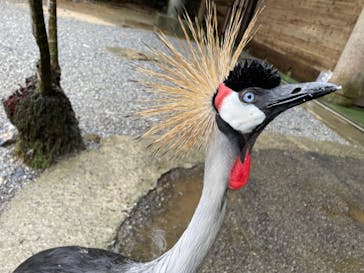 ネオパークオキナワに投稿された画像（2021/12/22）