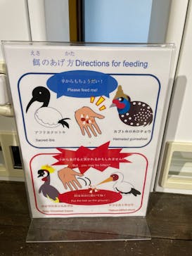 ネオパークオキナワに投稿された画像（2021/12/22）