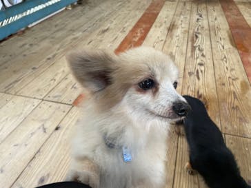 ネオパークオキナワに投稿された画像（2021/12/22）