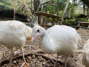 ネオパークオキナワに投稿された画像（2021/12/22）