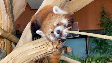 ネオパークオキナワに投稿された画像（2021/12/22）