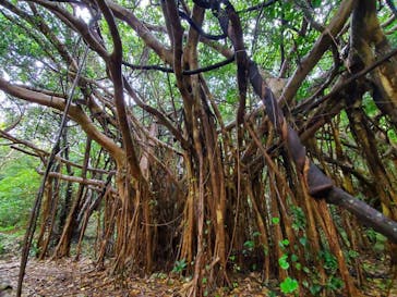 アスムイハイクスに投稿された画像（2021/12/22）