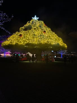 東京メガイルミに投稿された画像（2021/12/22）