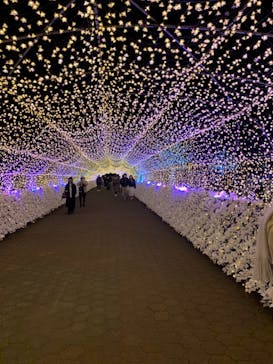 東京メガイルミに投稿された画像（2021/12/22）