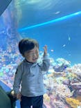 サンシャイン水族館に投稿された画像（2021/12/22）