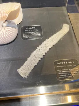 仙台うみの杜水族館に投稿された画像（2021/12/22）
