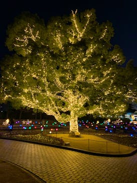 安城産業文化公園デンパークに投稿された画像（2021/12/22）