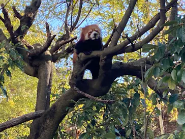 ひらかたパークに投稿された画像（2021/12/22）