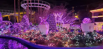 ひらかたパークに投稿された画像（2021/12/22）