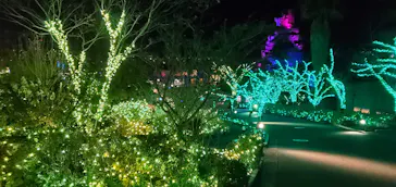 ひらかたパークに投稿された画像（2021/12/22）