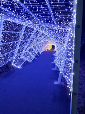 KYOTO ILLUMINATION SYNESTHESIA HILLS るり渓温泉に投稿された画像（2021/12/22）