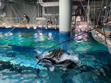 マクセル アクアパーク品川に投稿された画像（2021/12/22）