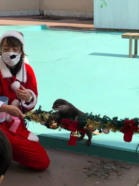横浜・八景島シーパラダイスに投稿された画像（2021/12/22）