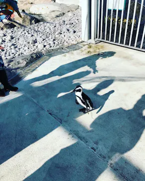 横浜・八景島シーパラダイスに投稿された画像（2021/12/22）