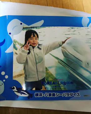 横浜・八景島シーパラダイスに投稿された画像（2021/12/22）