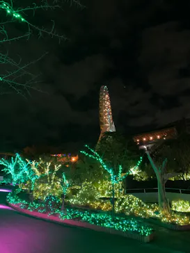 ひらかたパークに投稿された画像（2021/12/22）