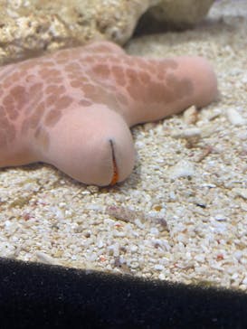 サンシャイン水族館に投稿された画像（2021/12/22）