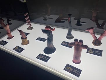 サンシャイン水族館に投稿された画像（2021/12/22）