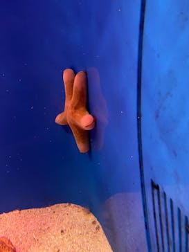 サンシャイン水族館に投稿された画像（2021/12/22）