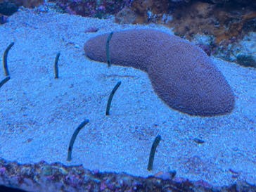 サンシャイン水族館に投稿された画像（2021/12/22）