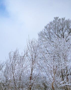 野沢温泉スキー場に投稿された画像（2021/12/22）