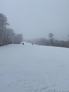 野沢温泉スキー場に投稿された画像（2021/12/22）