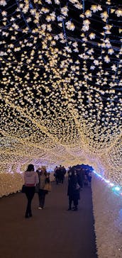 東京メガイルミに投稿された画像（2021/12/22）