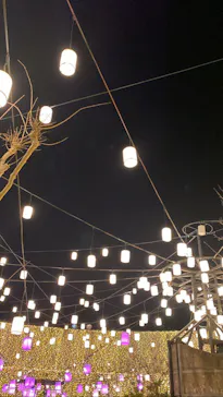 ひらかたパークに投稿された画像（2021/12/22）