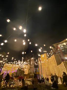 ひらかたパークに投稿された画像（2021/12/22）