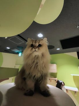 Moff animal world MARK IS みなとみらい店に投稿された画像（2021/12/22）