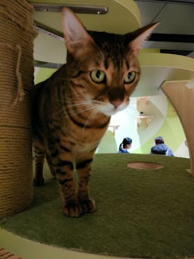 Moff animal world MARK IS みなとみらい店に投稿された画像（2021/12/22）