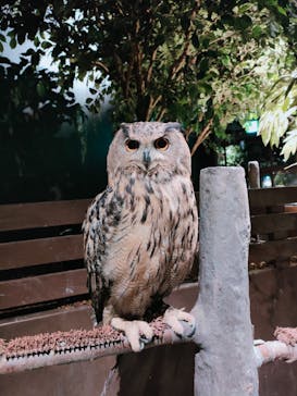 Moff animal world MARK IS みなとみらい店に投稿された画像（2021/12/22）