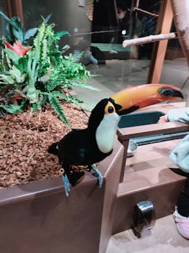 Moff animal world MARK IS みなとみらい店に投稿された画像（2021/12/22）