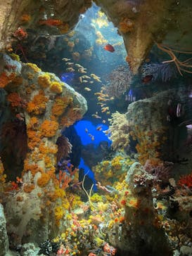 サンシャイン水族館に投稿された画像（2021/12/22）