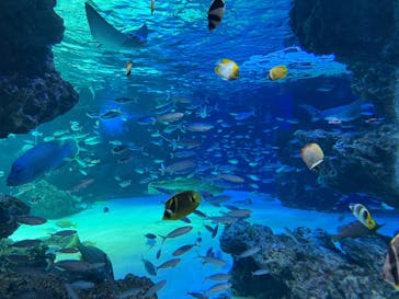 サンシャイン水族館に投稿された画像（2021/12/22）